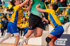 F4_Xuvenil2_Tui-201