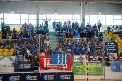 F4_Xuvenil2_Tui-342