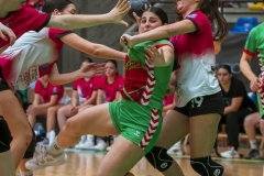 LAVvsCHA-F42AUT-daniparedes-FGBM-20