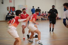 IMG_2711