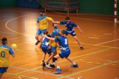 IMG_4246
