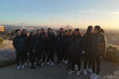 if-paseo