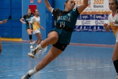 DSC05365