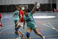 CF-GALvsCANT-FGBm-81