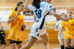 2026_cesa-317