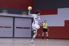 @fergodesign-117