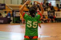 brais1