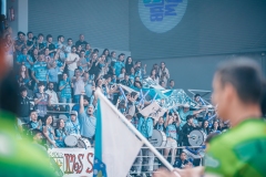 @fergodesigncarpeta2-774