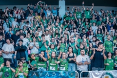 @fergodesigncarpeta4-178