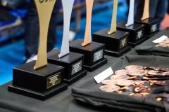 2P9A9665