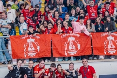 @fergodesign-15