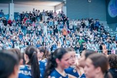 @fergodesign-113