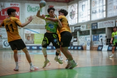 ARTvsSAR-F42AUT-daniparedes-FGBM-105