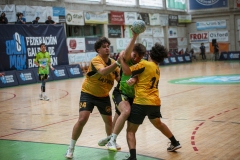 ARTvsSAR-F42AUT-daniparedes-FGBM-128