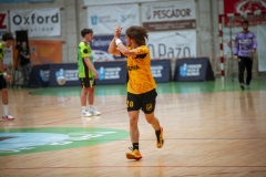 ARTvsSAR-F42AUT-daniparedes-FGBM-130