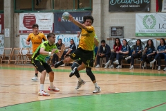 ARTvsSAR-F42AUT-daniparedes-FGBM-142