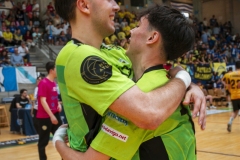 ARTvsSAR-F42AUT-daniparedes-FGBM-152