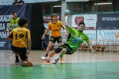 ARTvsSAR-F42AUT-daniparedes-FGBM-50