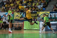 ARTvsSAR-F42AUT-daniparedes-FGBM-62
