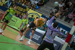 ARTvsSAR-F42AUT-daniparedes-FGBM-71