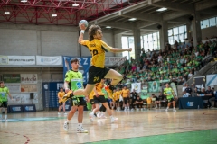 ARTvsSAR-F42AUT-daniparedes-FGBM-72
