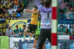 ARTvsSAR-F42AUT-daniparedes-FGBM-78