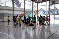 DDT-PONTEVEDRA-FGBm-1