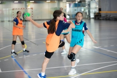 DDT-PONTEVEDRA-FGBm-45