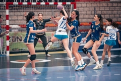 @fergodesign-733