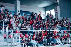 @fergodesign-19