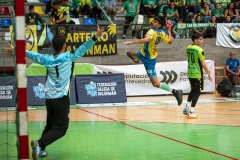SARvsTUI-F42AUT-daniparedes-FGBM-100