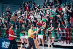 @fergodesign-107