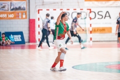 @fergodesigncarpeta2-187