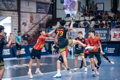 @fergodesign-462
