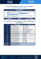 CONVOCATORIA SGIM 06 – 201024