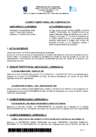 ACTA Nº 33 – TEMP 24-25