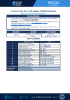 CONVOCATORIA SGCM 03 – 060925