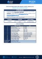 CONVOCATORIA SGXM 03 – 060925