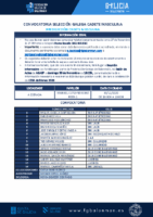 CONVOCATORIA SGCM 11 – 301125