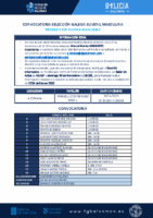 CONVOCATORIA SGXM 12 – 301125